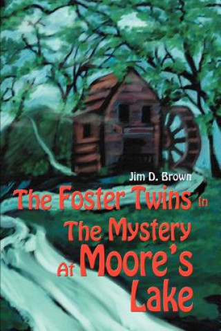 Könyv Foster Twins In The Mystery At Moore's Lake Jim D Brown