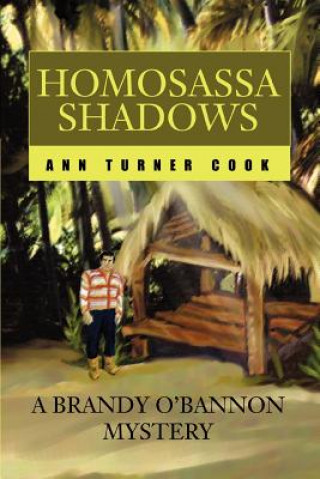 Buch Homosassa Shadows Ann Turner Cook