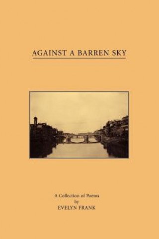 Buch Against A Barren Sky Evelyn Frank