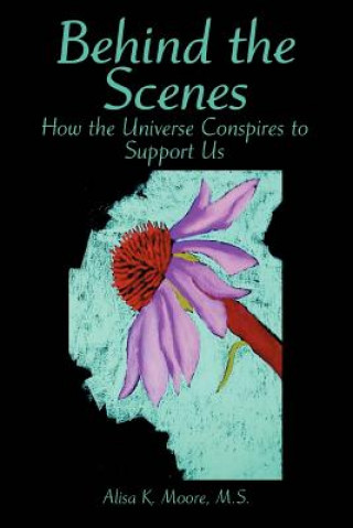 Book Behind the Scenes Alisa K Moore M S