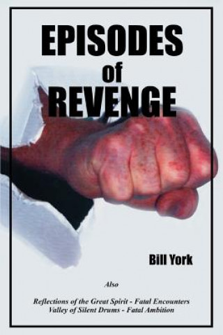 Kniha Episodes of Revenge Bill York