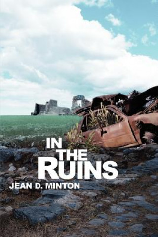 Buch In the Ruins Jean D Minton