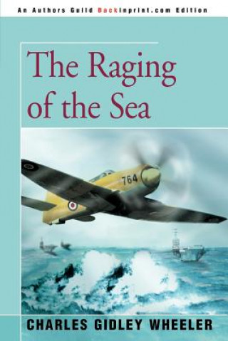 Carte Raging of the Sea Charles Gidley Wheeler