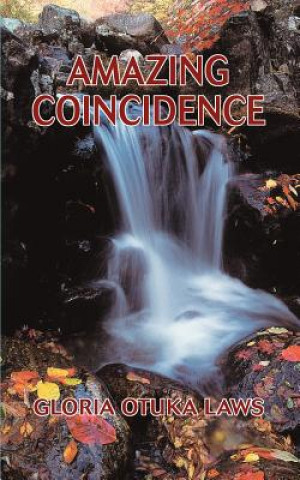 Book Amazing Coincidence Gloria Otuka Laws