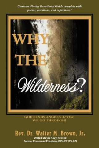 Carte Why the Wilderness? Rev Dr Brown Jr