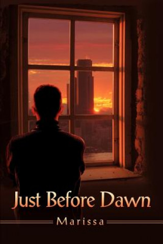 Book Just Before Dawn Marissa