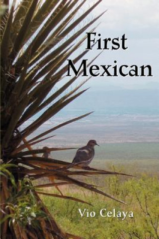 Kniha First Mexican Vio Celaya