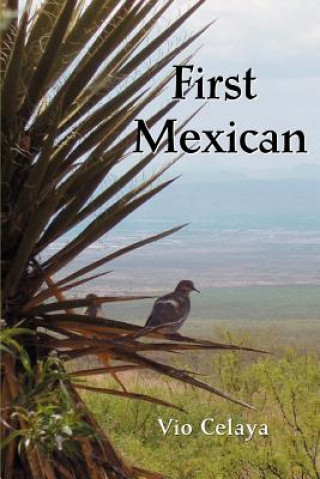 Book First Mexican Vio Celaya