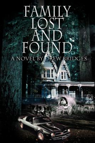Book Family Lost and Found Drew Bridges
