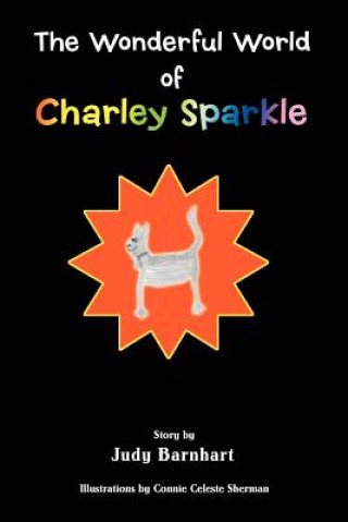 Carte Wonderful World of Charley Sparkle Judy Barnhart