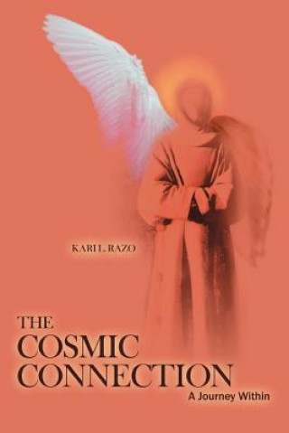 Knjiga Cosmic Connection Kari L Razo