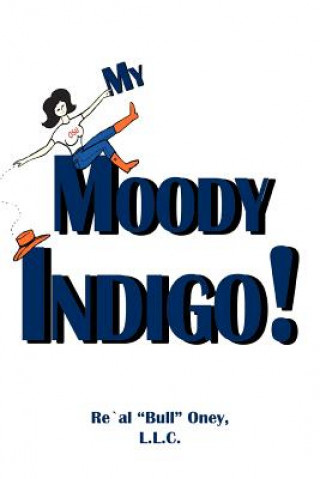 Kniha My Moody Indigo! L L C Re'al Bull Oney