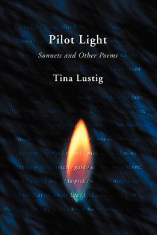 Book Pilot Light Tina Lustig