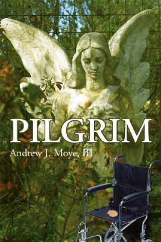 Kniha Pilgrim Moye