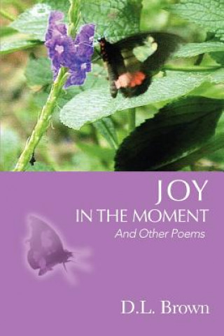 Buch Joy in the Moment D L Brown