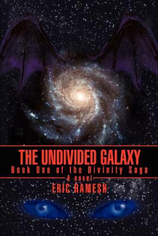 Kniha Undivided Galaxy Eric Ramesh