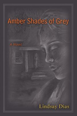 Buch Amber Shades of Grey Lindsay Dias