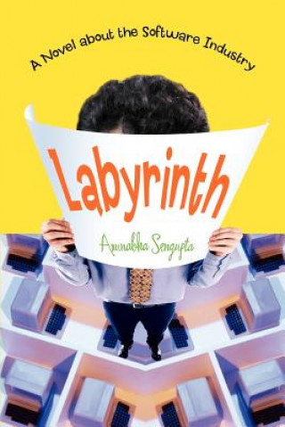 Knjiga Labyrinth Arunabha Sengupta