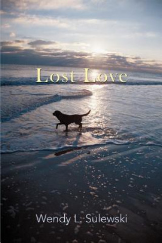 Könyv Lost Love Wendy L Sulewski