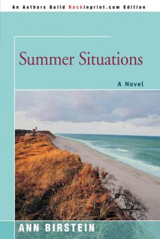 Book Summer Situations Ann Birstein