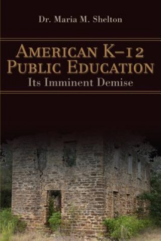 Książka American K-12 Public Education Shelton