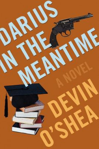 Книга Darius in the Meantime Devin Liddell