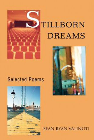 Kniha Stillborn Dreams Sean Ryan Valinoti