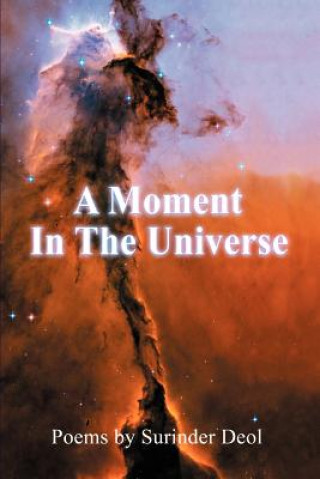 Libro Moment In The Universe Surinder Deol