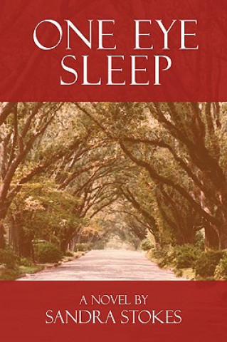 Kniha One Eye Sleep Sandra Stokes