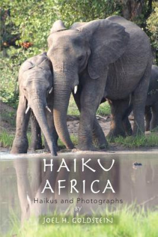 Knjiga Haiku Africa Joel H Goldstein