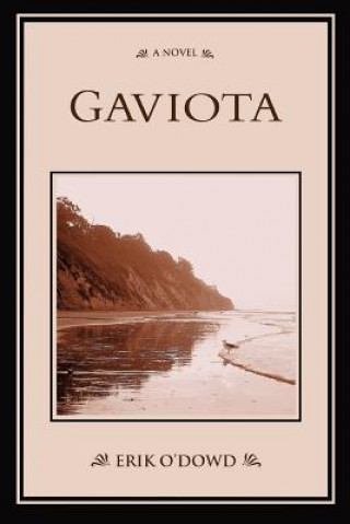 Libro Gaviota Erik O'Dowd