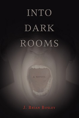 Kniha Into Dark Rooms J Brian Bosley