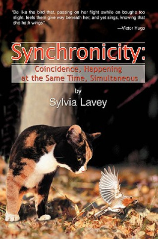 Kniha Synchronicity Sylvia Lavey