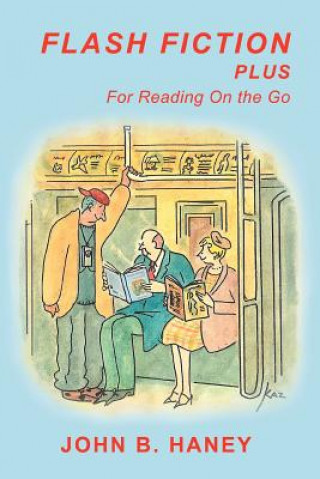 Book Flash Fiction Plus John B Haney