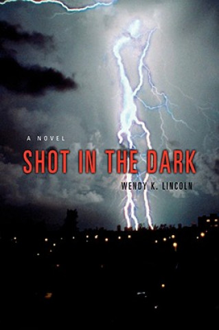 Buch Shot in the Dark Wendy K Lincoln