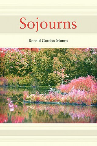 Kniha Sojourns R G Munro