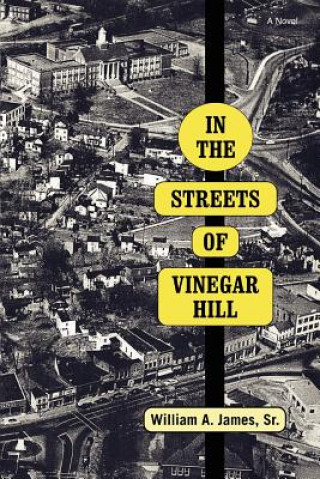 Buch In The Streets Of Vinegar Hill Sr William a James