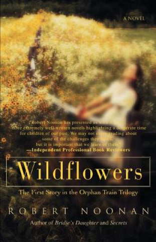 Livre Wildflowers Robert Noonan