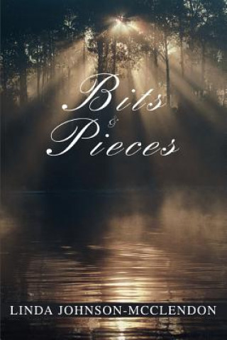 Kniha Bits & Pieces Linda Johnson-McClendon