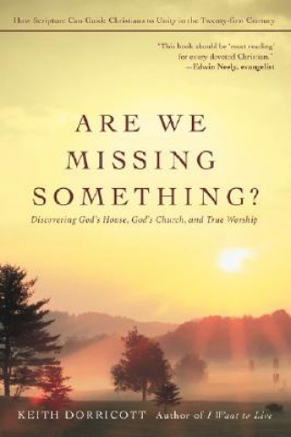 Książka Are We Missing Something? Keith Dorricott