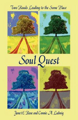 Libro Soul Quest Janet E Rose