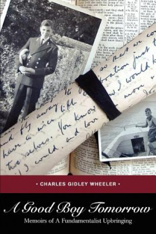 Boek Good Boy Tomorrow Charles Gidley Wheeler