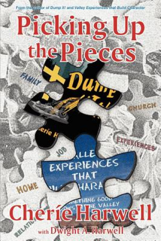 Book Picking up The Pieces Cherie K Harwell