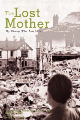 Knjiga Lost Mother Dona M Dietz