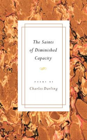 Könyv Saints of Diminished Capacity Charles Darling