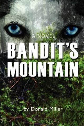 Kniha Bandit's Mountain Donald Miller