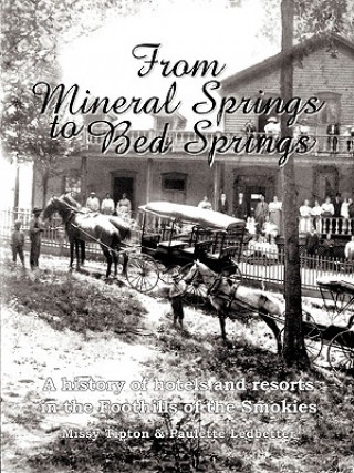 Kniha From Mineral Springs to Bed Springs Missy Tipton