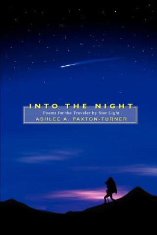 Kniha Into the Night Ashlee A Paxton-Turner