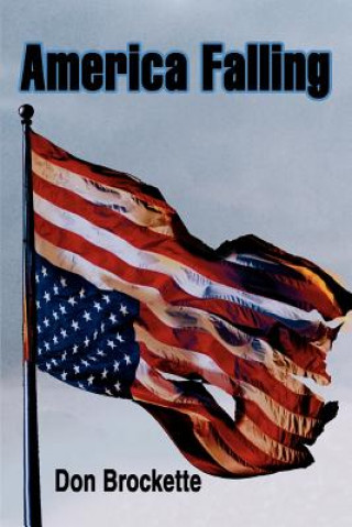 Buch America Falling Don E Brockette