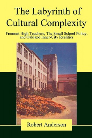 Kniha Labyrinth of Cultural Complexity Robert Anderson